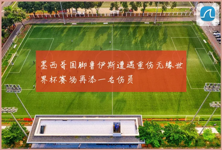 墨西哥国脚鲁伊斯遭遇重伤无缘世界杯赛场再添一名伤员